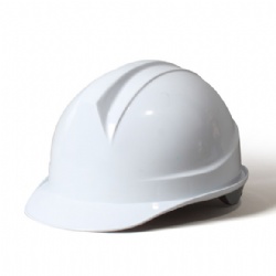 Safety Helmet/Hard hat